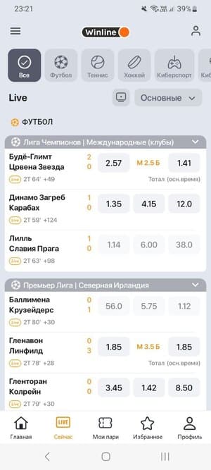 ставка в приложении Winline